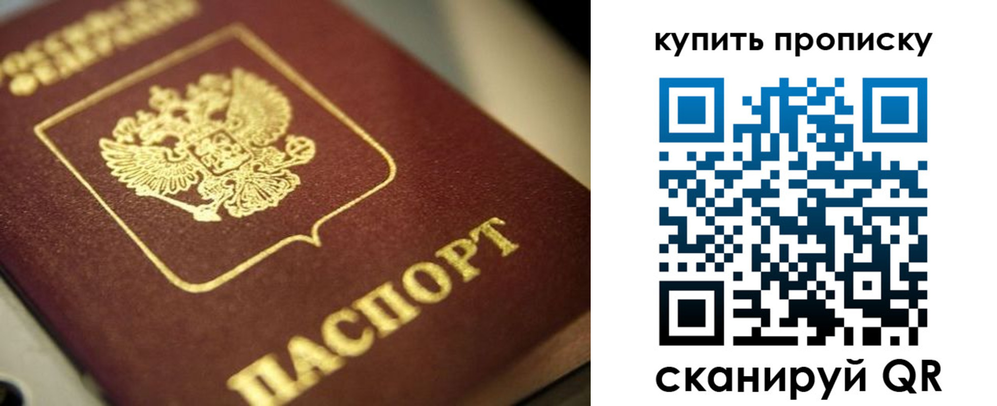 прописка поиск в Каргополе